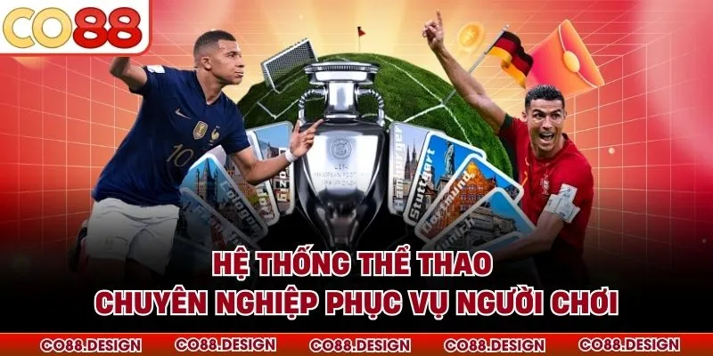 Hệ thống thể thao chuyên nghiệp phục vụ người chơi