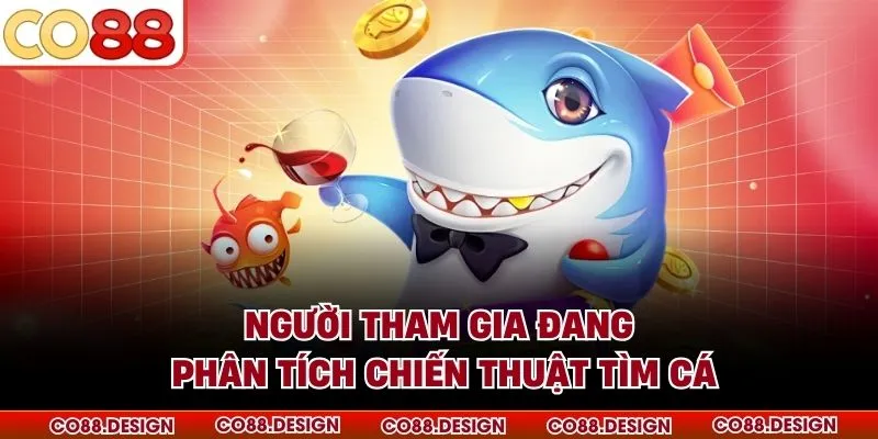 Người tham gia đang phân tích chiến thuật tìm cá